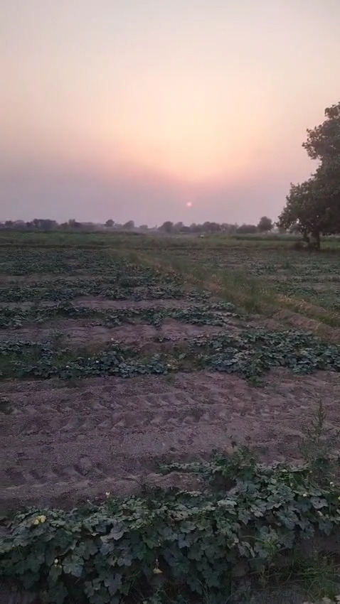 5 Acre Prime Residential Corner Plot – For Sale